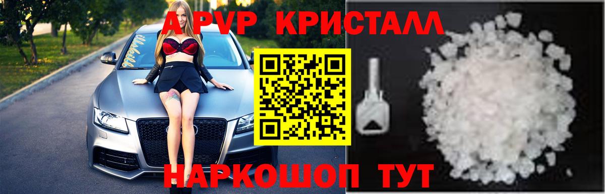APVP СК Заринск