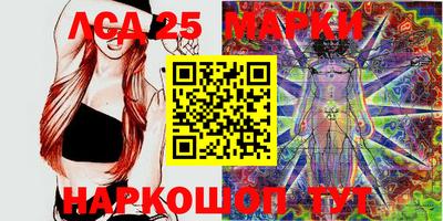 шишки Будённовск