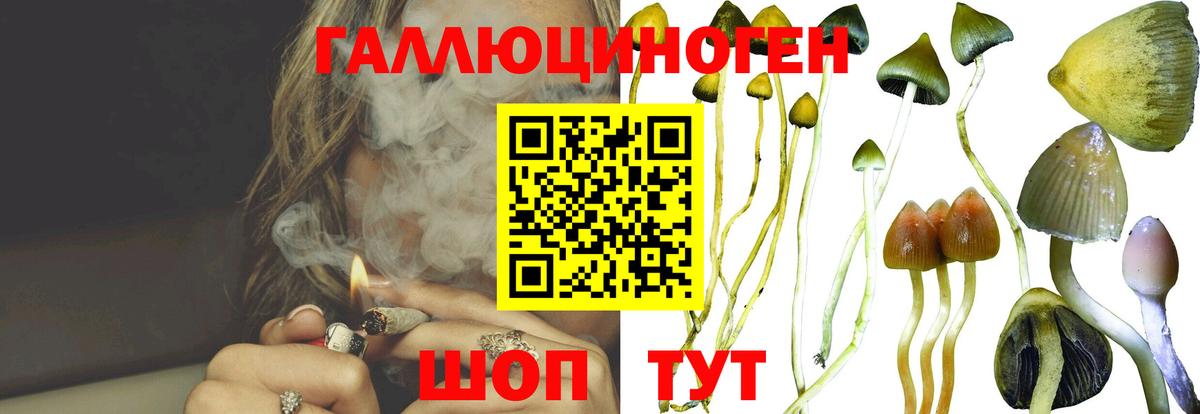 Псилоцибиновые грибы мухоморы  Вход с VPN  Заринск  Галлюциногенные грибы ЛСД 